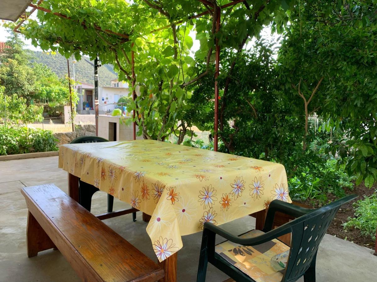Apartment Olive 3